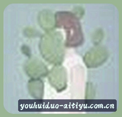 吴磊