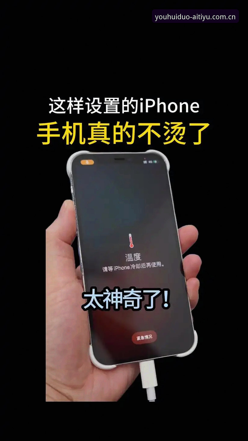 爱体育iOS版如何实现“优惠多体验好”？深度评测与使用指南